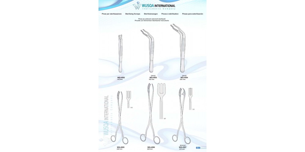 Sterilizing Forceps